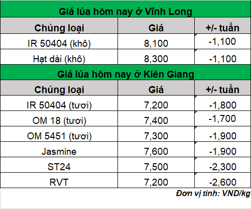 giá lúa hôm nay 1-3-2024_1709264652.png